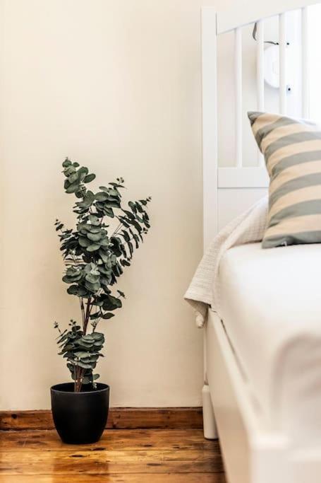 Diana'S Centrally Located Apt@ Old Town Of Corfu Corfu  Eksteriør bilde